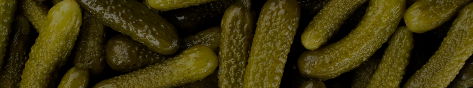 Pickled Gherkins